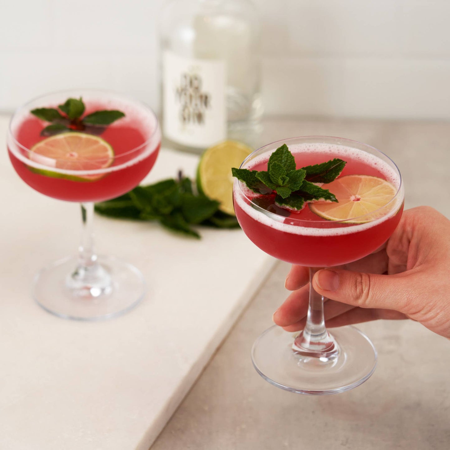 Coupe 7 oz Cocktail Glasses