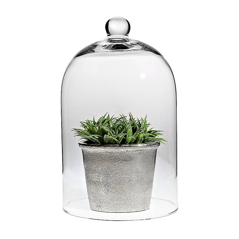 Large Classic Shaped Cloche 10" H