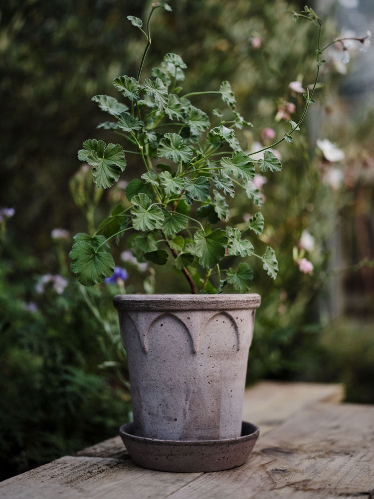 Bergs Elizabeth Pot Raw Terracotta Grey