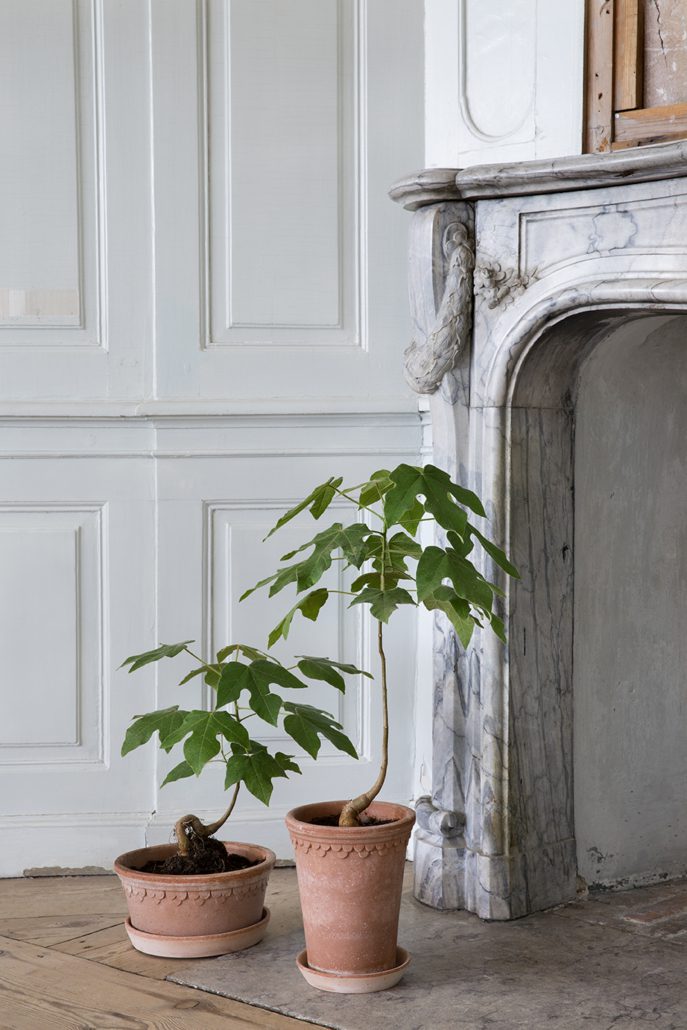 Bergs Kobenhavner Terracotta Pot Low