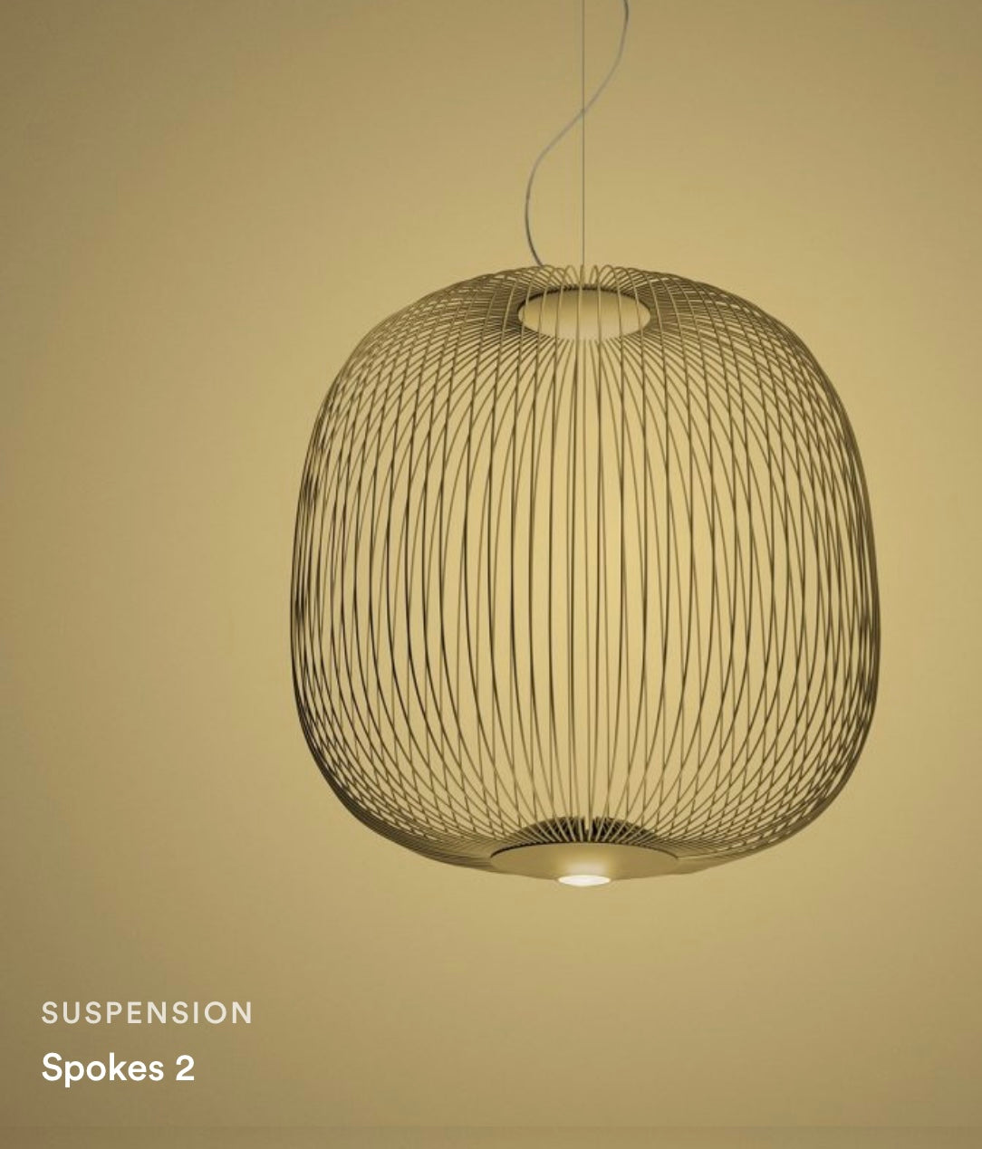 Spokes 2 Hanging SUSPENSION light 120V