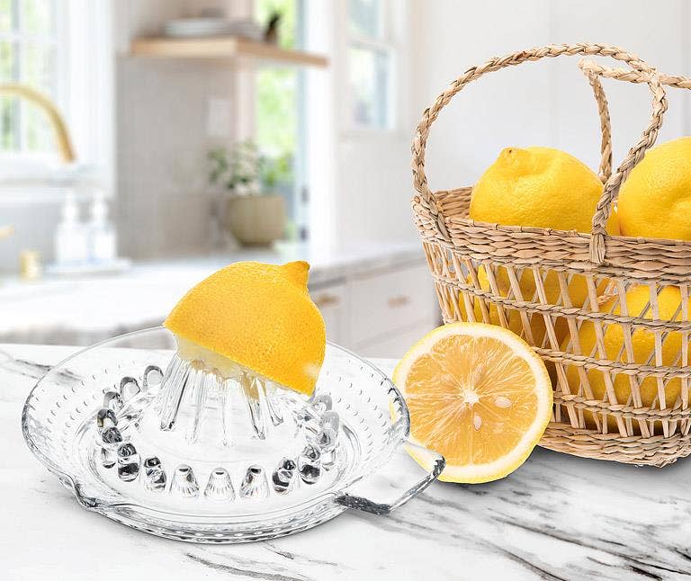 Citrus Reamer with Handle & Spout-5.5"L