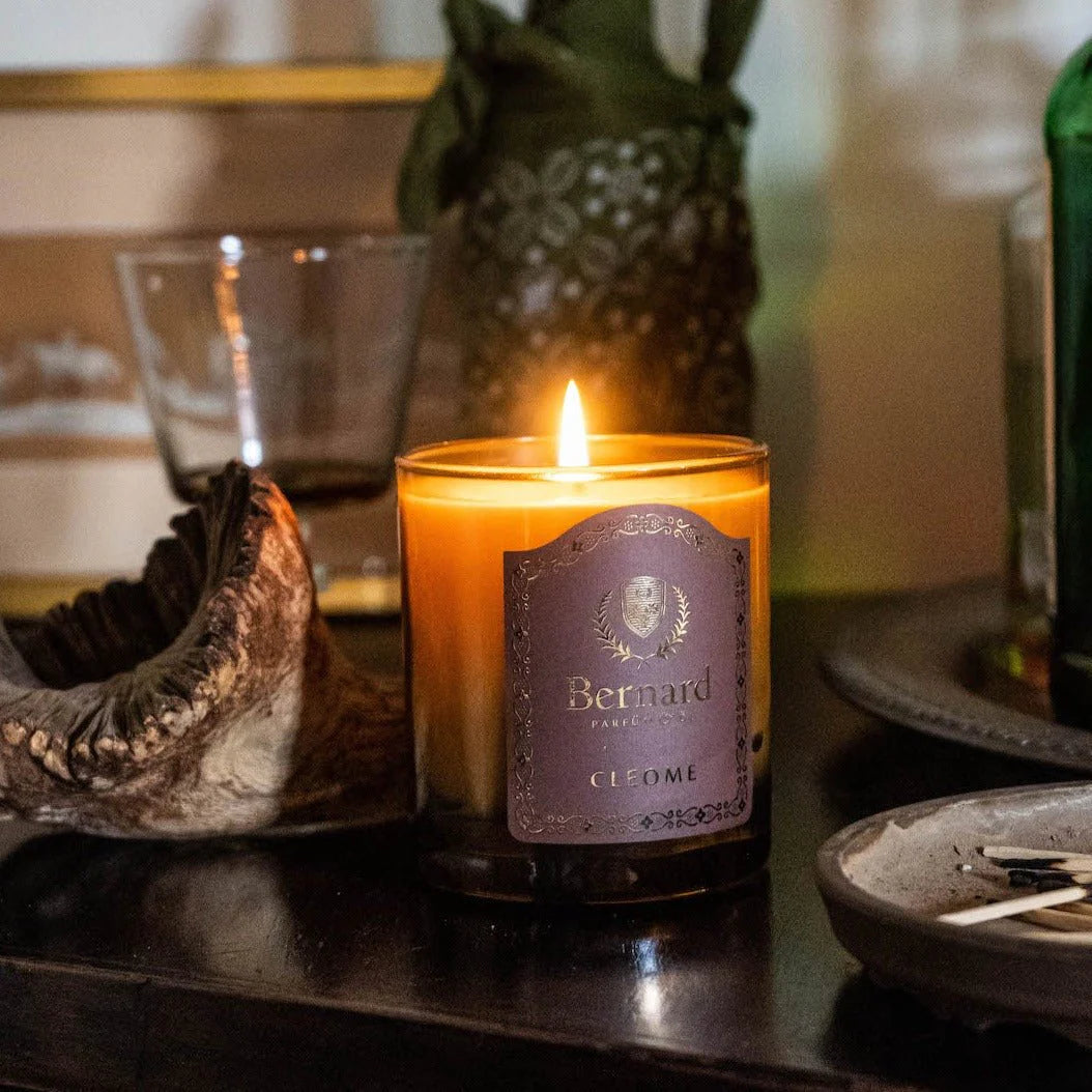 Bernard Candle, Cleome