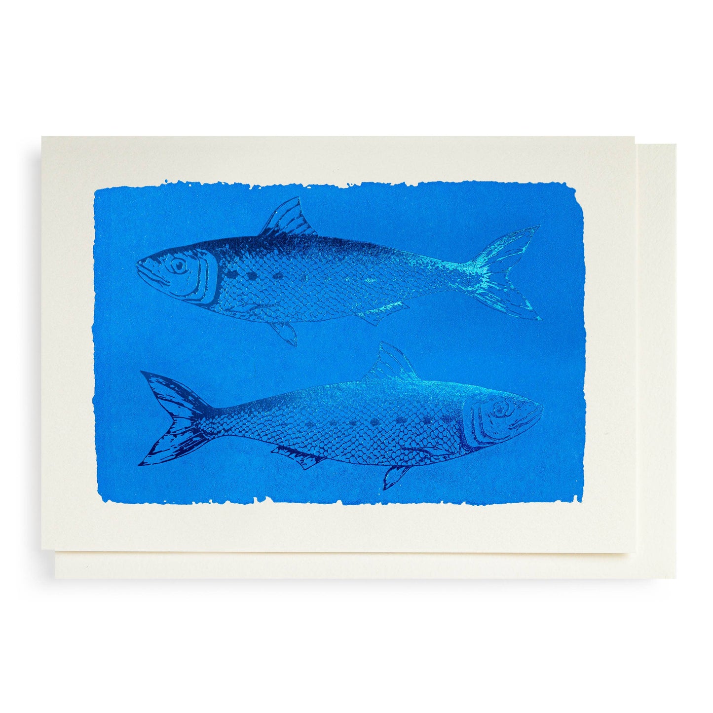Sardines | Notelet Card