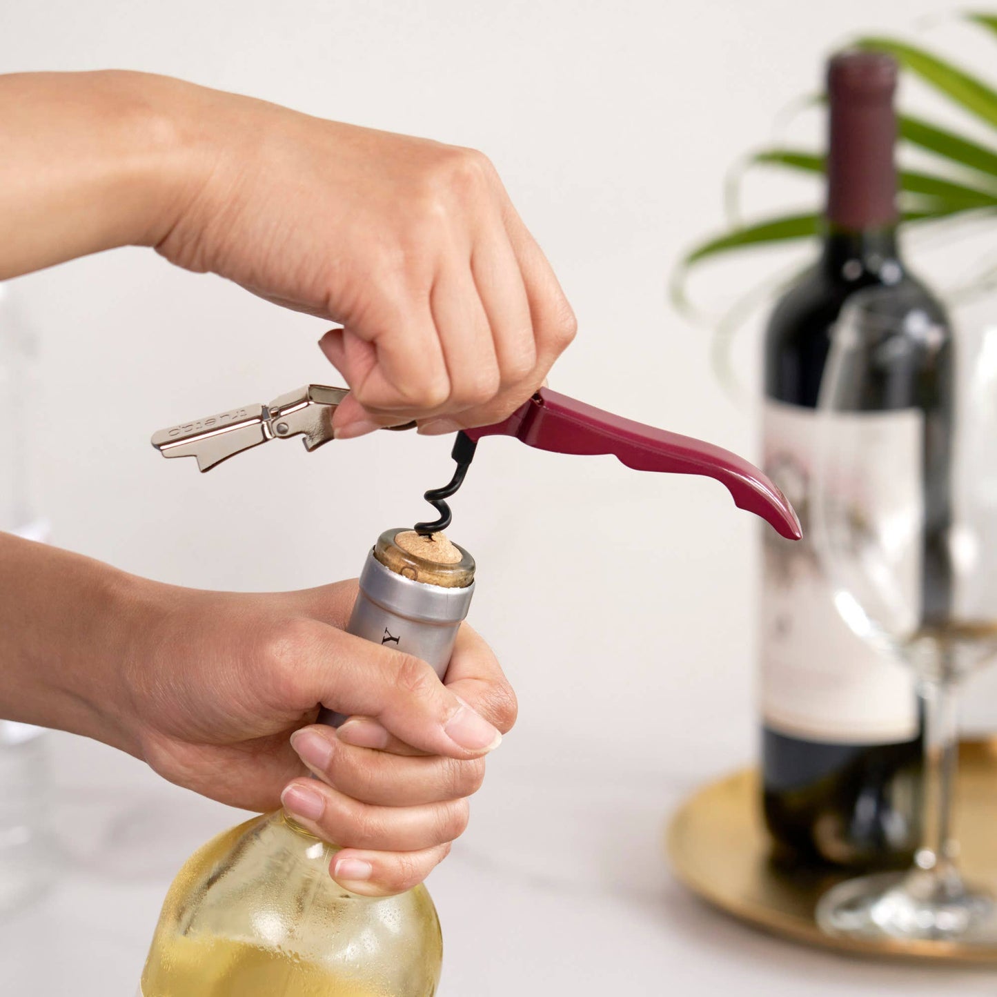 Truetap Double-Hinged Corkscrew - ASST COLORS