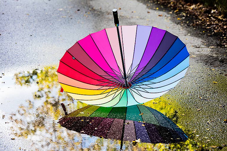 Colour Wheel Umbrella 40"W