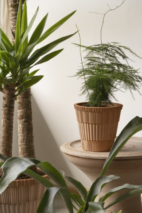 Bergs Potter Atlas Planter Raw Terracotta