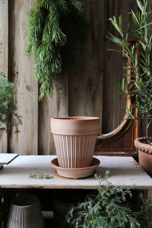 Bergs Simona Raw Terra Cotta Pot