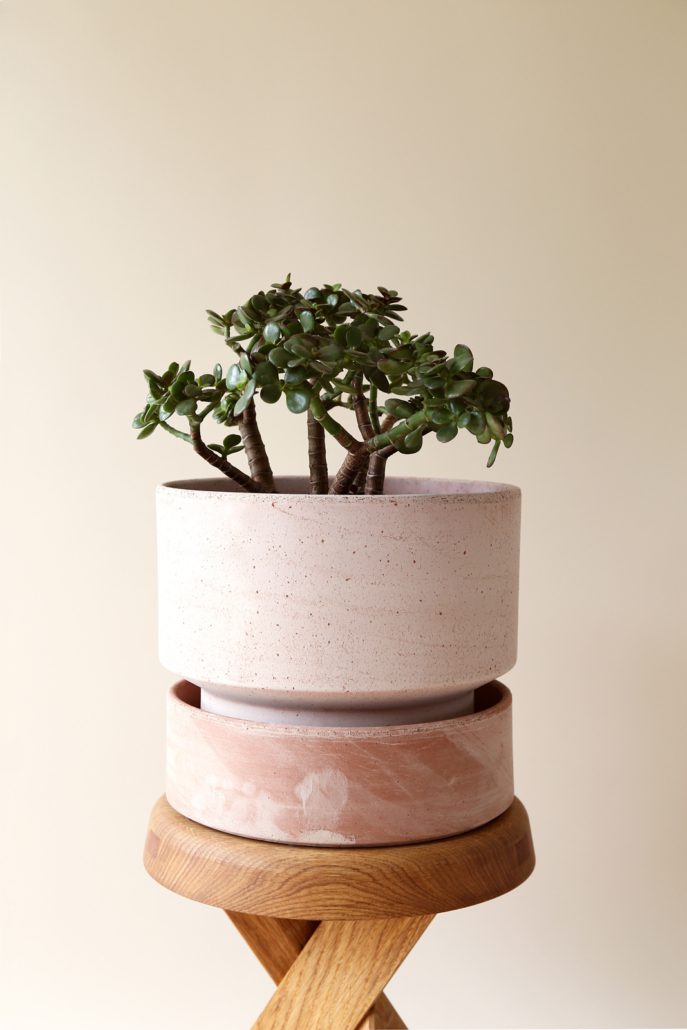 Bergs HOFF Ceramic Planter Saucers