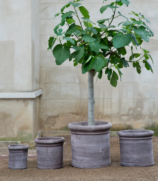 Bergs Potter Cilindro Raw Terracotta Planter Grey (Medium Size)