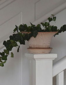 Bergs Potter Daisy Raw Terra Cotta Planter Rosa
