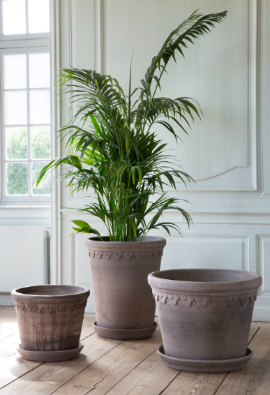 Bergs Potter TALL Kobenhavner Large Planter Raw Terracotta Grey XL