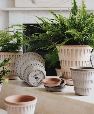 Bergs Pantheon Raw Terracotta ROSA Planter