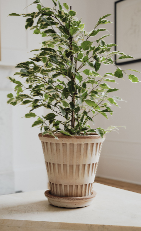 Bergs Pantheon Raw Terracotta ROSA Planter