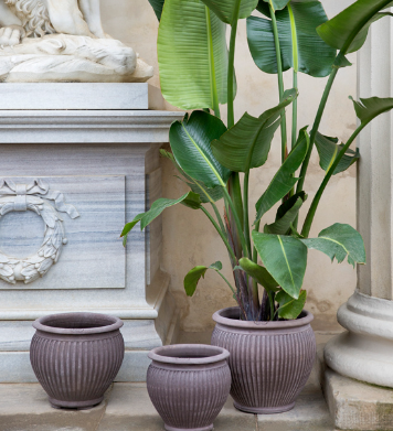 Bergs Potter Piccolina Raw Terracotta Planter