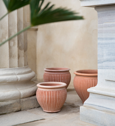 Bergs Potter Piccolina Raw Terracotta Planter