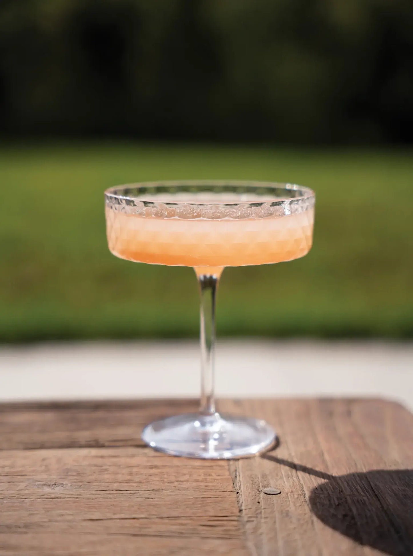 Zafferano Veneziano Mixology Coupe