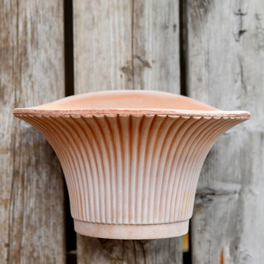 Bergs Daisy Terracotta Wall Pot